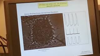 MMRL 20140605