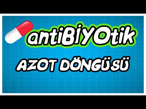 antiBİYOtik / TYT Azot Döngüsü / TYT Biyoloji