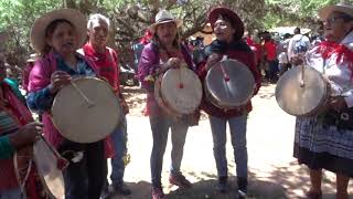 Festival del Churqui y el Cardón en Hornaditas 2020 5/7