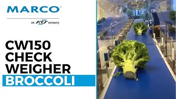 MARCO Limited CW150 Checkweigher - Broccoli