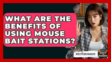 What Are The Benefits Of Using Mouse Bait Stations? - Insects and Invaders