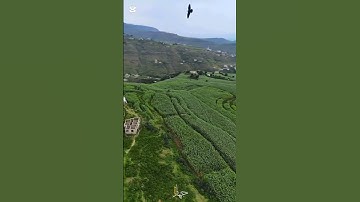 (الله لا اله الا هو...)خواتم سورة الحشر بصوت القارئ عبدالرحمن انور