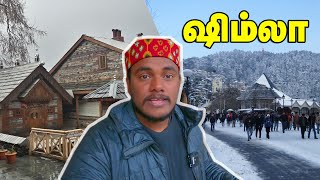 ஒரு அரண்மனையின் கதி & சிம்லா ல என்ன இருக்கு #Nagger Castle Shimla Vlog