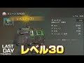 LDOE ミニバン レベル30