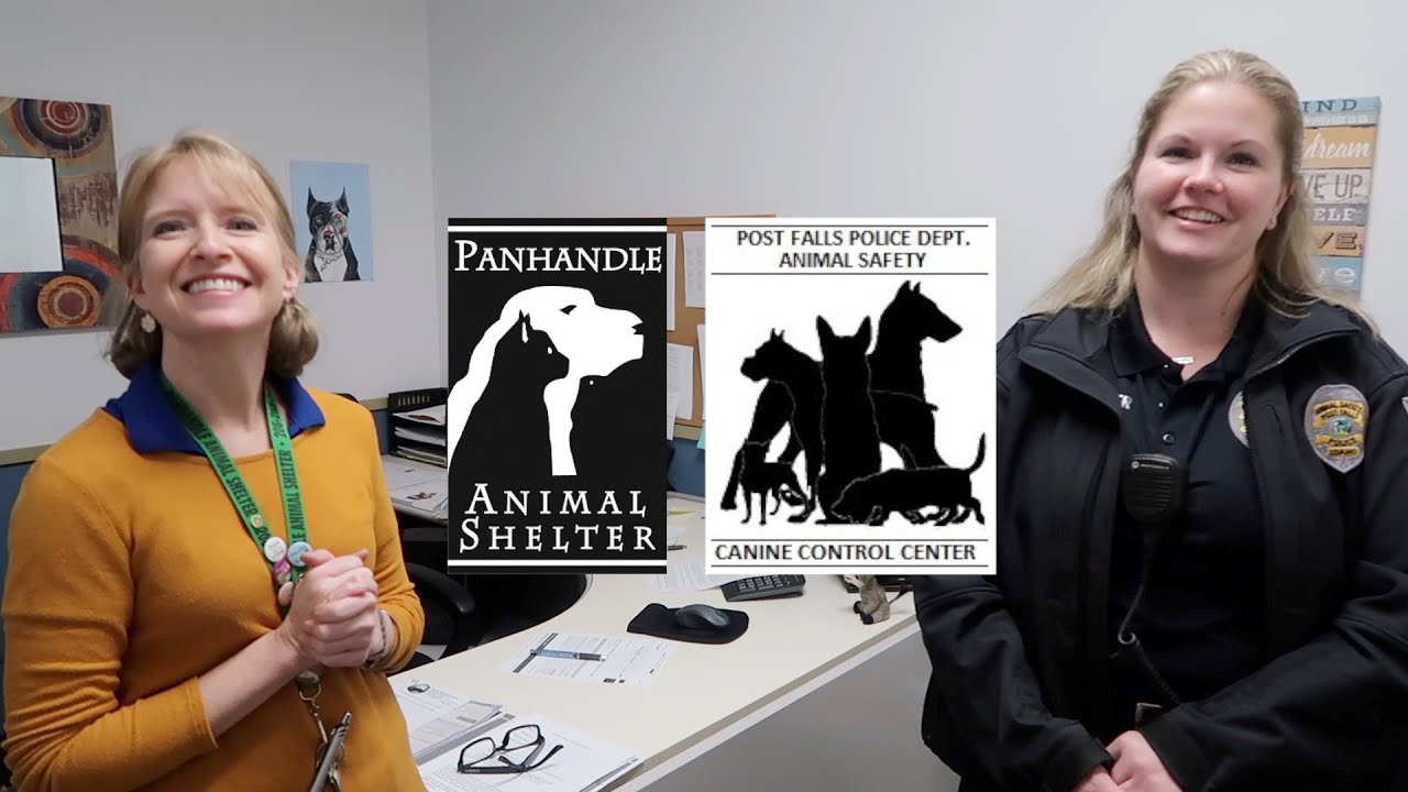 Post Falls Animal Shelter Grant YouTube