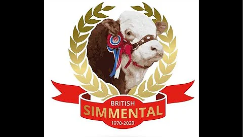 Simmental Show at Stirling Bull Sales 1.00pm Monda...