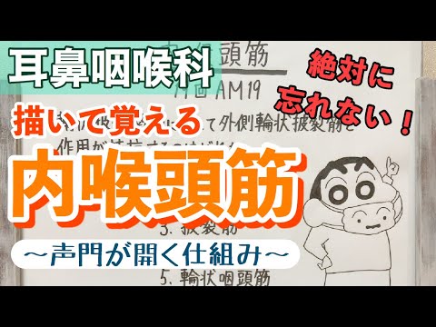 【解説】内喉頭筋は楽しく描いて覚えよう！！