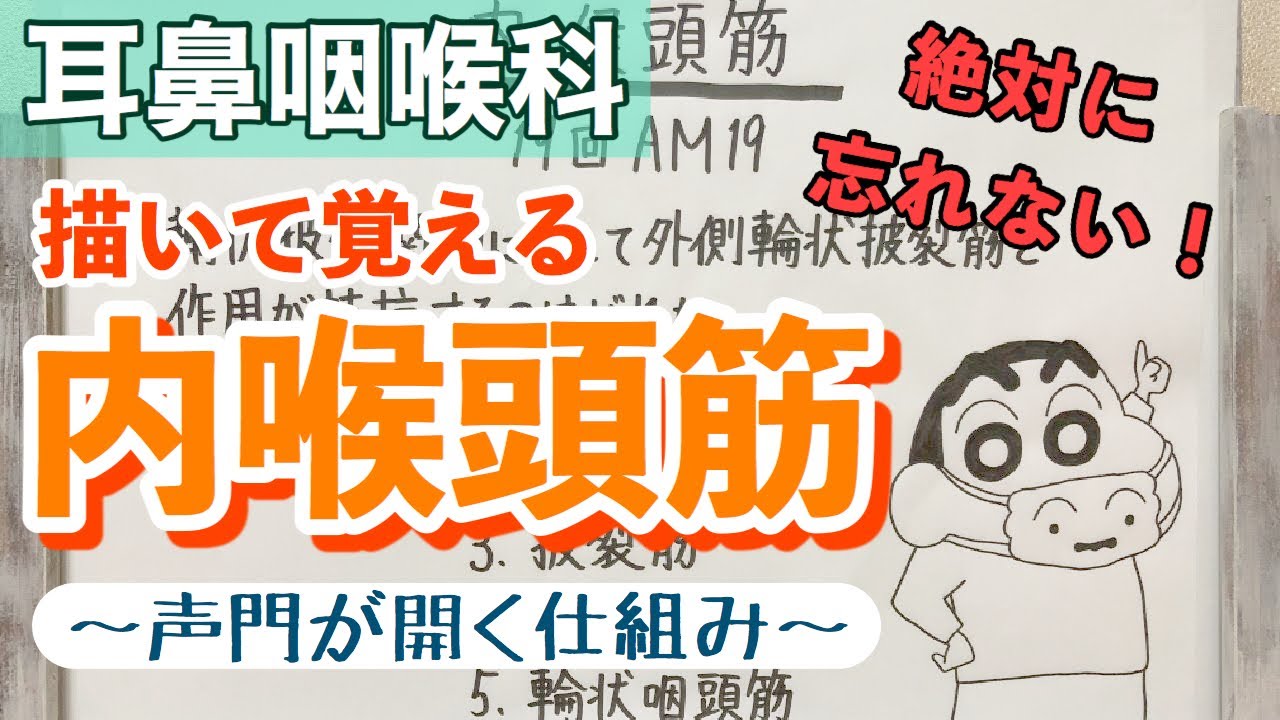 【解説】内喉頭筋は楽しく描いて覚えよう！！