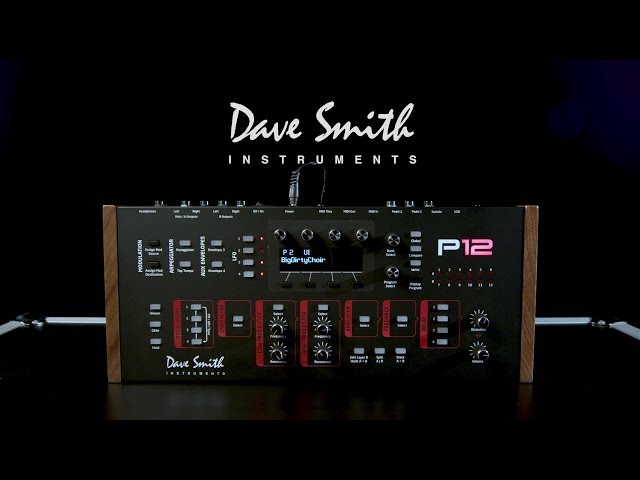 Dave Smith Instruments Prophet 12 Module - 12-voice
