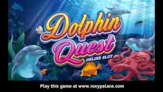 Dolphin Quest Slot Game screenshot 5
