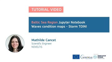 Jupyter Tutorial - Baltic Sea - Waves condition during storm TOINI