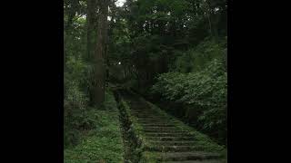 Feels Like Ive Forgotten Something  Reidenshi slowed