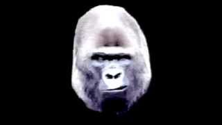 Famous WHAT IS MORPH? Profile