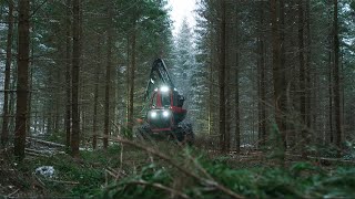 Gallring för skogens alla värden