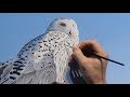 From Inspiration to Art - Snowy Owl