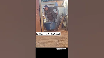 Pulani Funny Automobile Comedyfilms 
