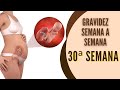 GRAVIDEZ SEMANA A SEMANA: 30ª Semana