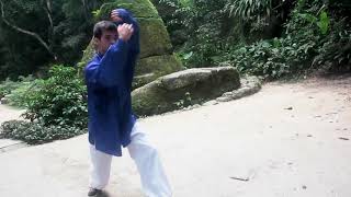 Tantui Davi Garritano