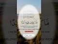 SubhanAllah—এই জিকিরেই আছে শান্তি ও বরকত|Viral Islamic Quotes #trending #islamic#islamicstatus#islam