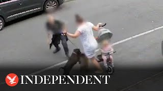 Moment mother tries to protect baby as out of control dog attacks pet