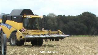 Battage mais 2011 / Corn Harvest 2011