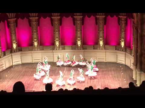 Shakti   Adult Garba Team GCF 2016 Team Shakti Garba