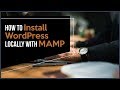 How To Install WordPress Locally With MAMP How To Install WordPress Locally With MAMP