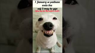 3 may ho gya 🥲 #viral #popular #trending #husky #asethetic #memes #tweetreels