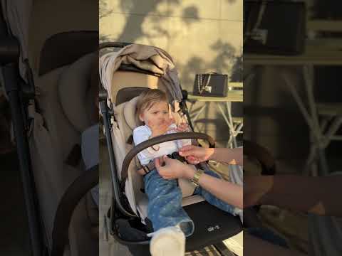 Прогулянкова коляска Anex Air-Z plus, vivi, відео 1