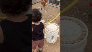 Pretend I’m famous #famous #pretending #famousshorts #pigs #farming #homestead #viral #viralvideo