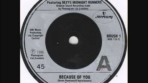 Dexys Midnight Runners "Because of You"