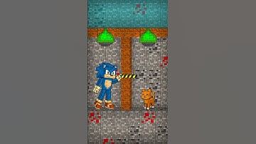 🔶Water Clash: Sonic vs Mr. Cat. #animation #animationmeme #funnyanimation
