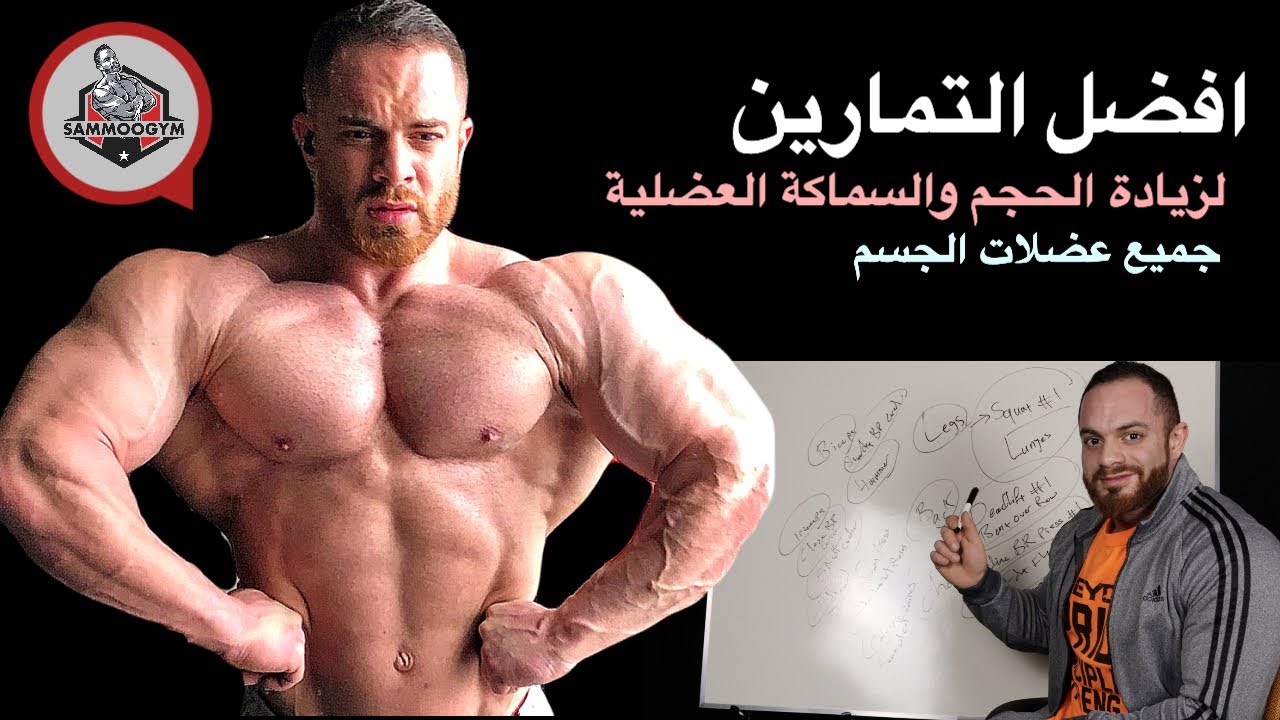 افضل تمرينين لكل عضله بالجسم / لزيادة الحجم والسماكه العضلية