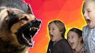 Немецкая Овчарка Гера И Дети