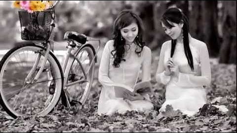 Em trong mắt tôi - Nguyễn Đức Cường