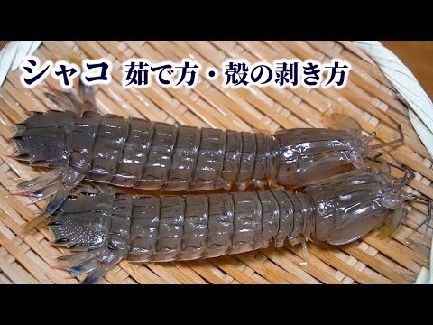 シャコ 茹で方 殻の剥き方 爪の身まで綺麗に取って食べる方法 Youtube