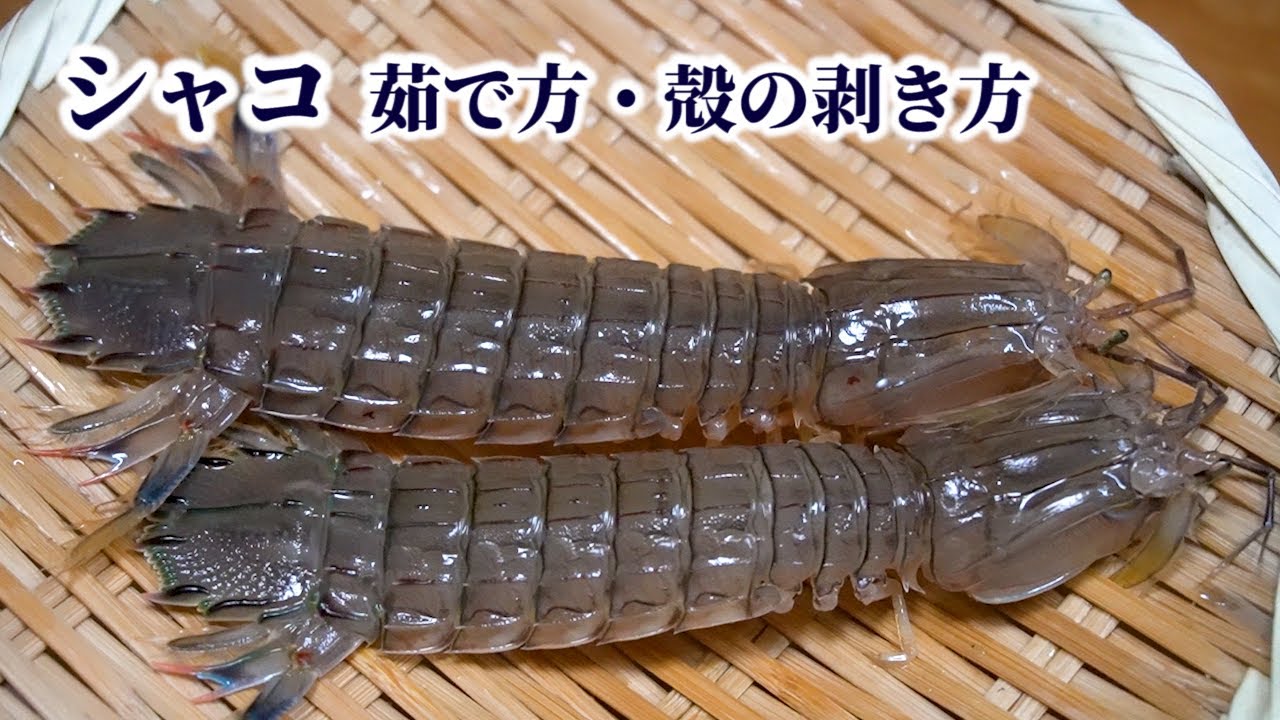 シャコ 茹で方 殻の剥き方 爪の身まで綺麗に取って食べる方法 Youtube