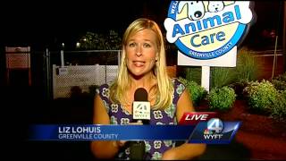 Officials: BMW worker left dogs in hot car during whole shift