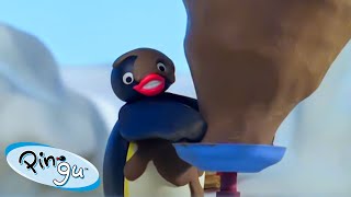 Pingu Learns Pottery 🐧 | Pingu - Official Channel | Cartoons For Kids