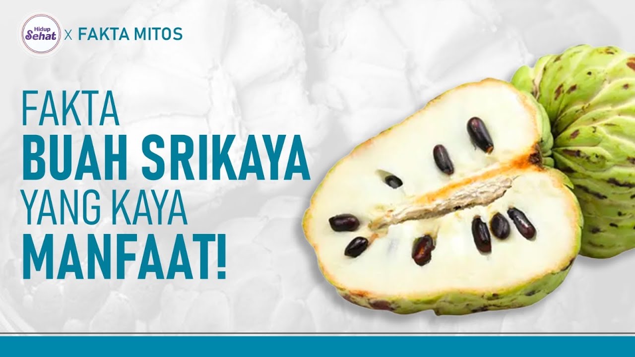 Dahsyat! Ini Manfaat Buah Srikaya yang Jarang Diketahui | Hidup Sehat tvOne