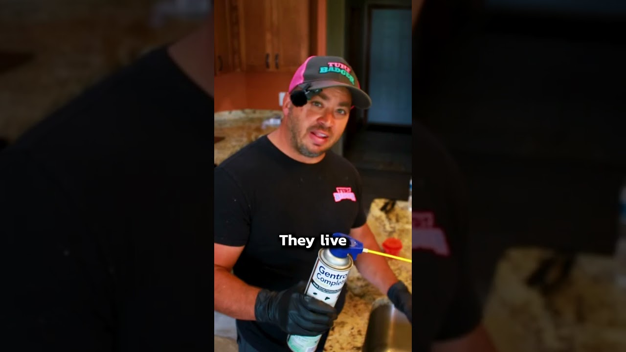 Fly Invasion? Say Goodbye to Drain Flies for Good with this $30 Game-Changer! 