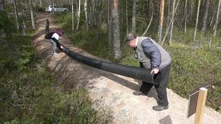 200 kg kirjolohta Ahvenlampeen