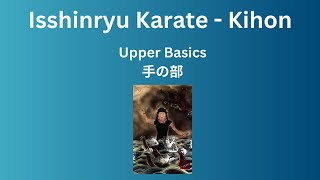 Isshinryu Upper Body Basics at Full Speed & Power - Best Video