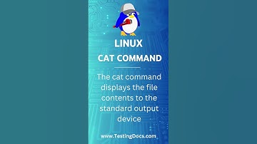 Linux cat command #testingdocs #linuxcommandline