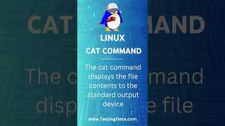 Linux cat command #testingdocs #linuxcommandline