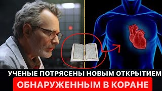 Эти аяты из Корана шокировали учёных по всему миру? ШОК