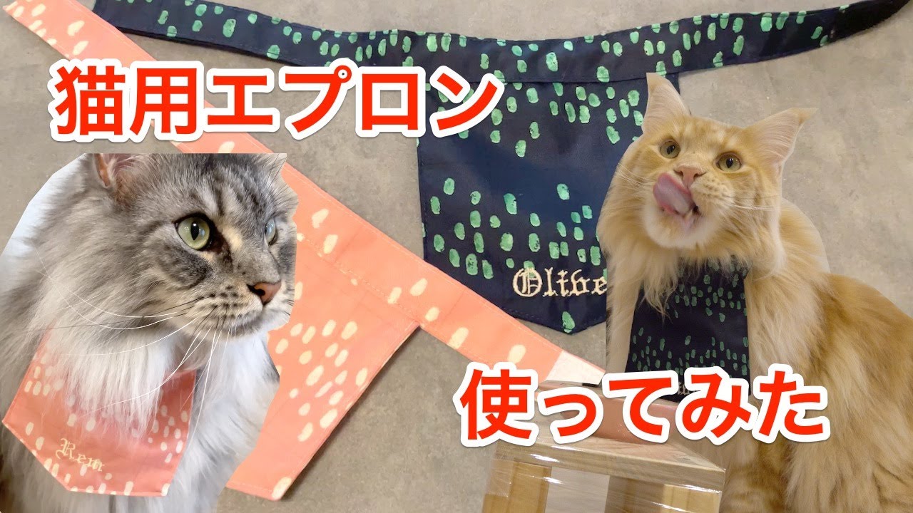 長毛猫さんのごはん用エプロン！ ネイビー - Estrella*'s GALLERY