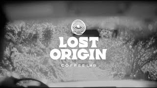 Lost Origin Coffee Lab - From Farm To Lab