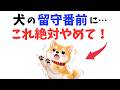 【知らないと危険】犬の留守番前に絶対やってはいけないこと 13選