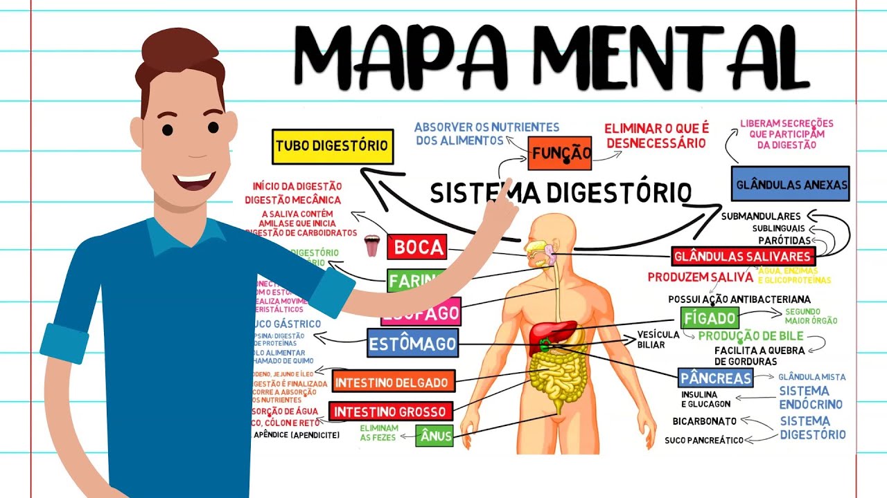 Arriba 100+ imagen mapa mental sistema gastrointestinal